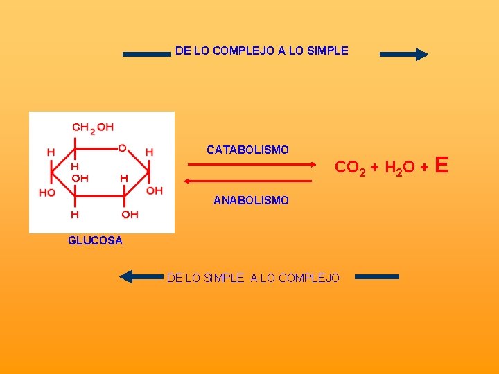 DE LO COMPLEJO A LO SIMPLE CATABOLISMO CO 2 + H 2 O +