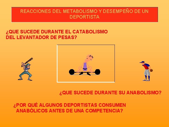 REACCIONES DEL METABOLISMO Y DESEMPEÑO DE UN DEPORTISTA ¿QUE SUCEDE DURANTE EL CATABOLISMO DEL