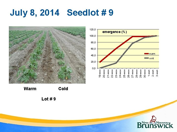 July 8, 2014 Seedlot # 9 120, 0 emergence (%) 100, 0 80, 0