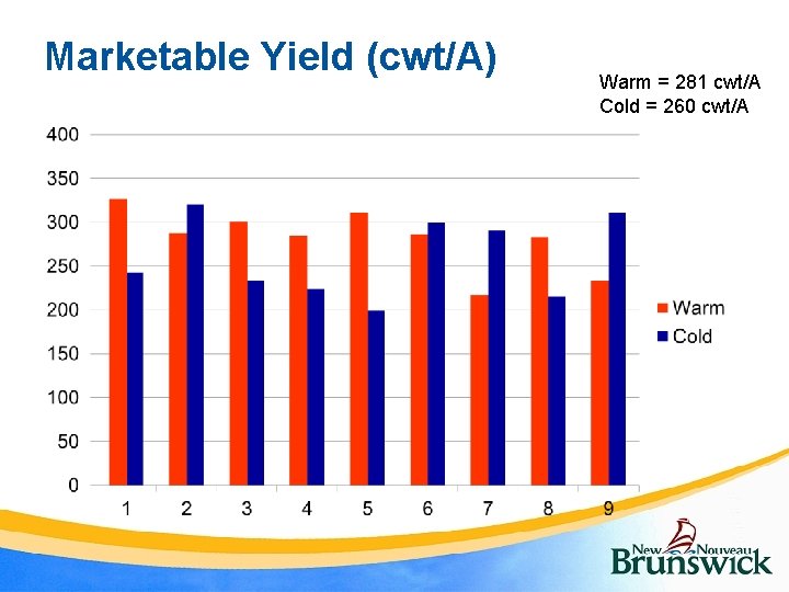 Marketable Yield (cwt/A) Warm = 281 cwt/A Cold = 260 cwt/A 