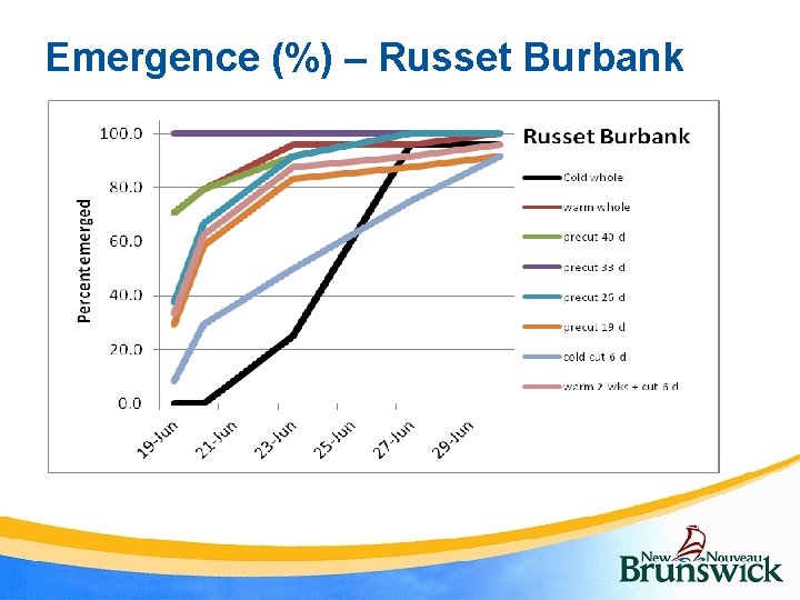 Emergence (%) – Russet Burbank 