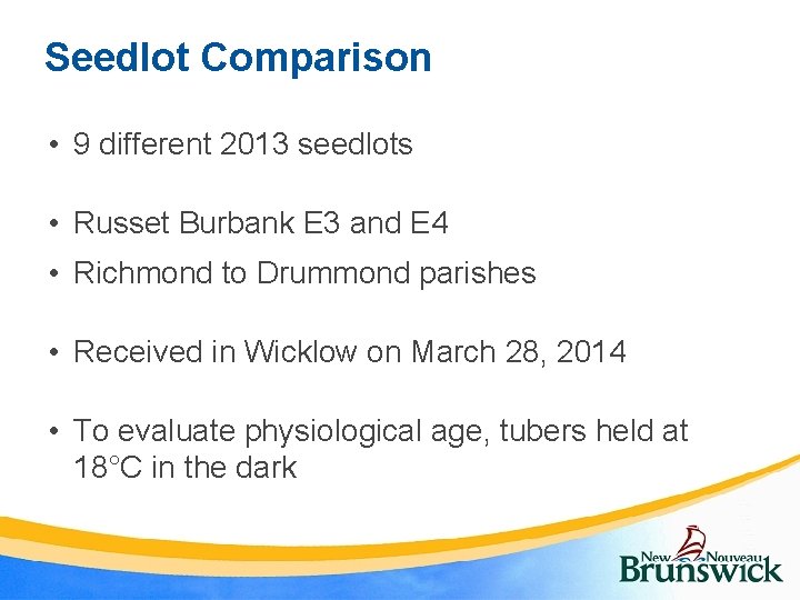 Seedlot Comparison • 9 different 2013 seedlots • Russet Burbank E 3 and E