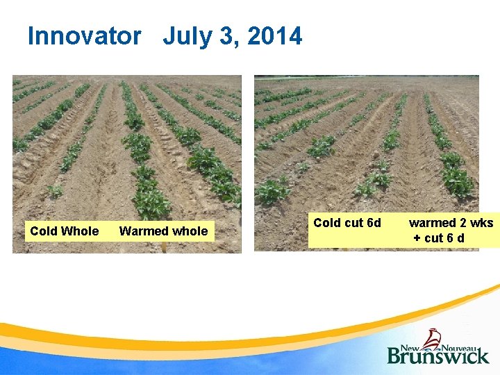 Innovator July 3, 2014 Cold Whole Warmed whole Cold cut 6 d warmed 2