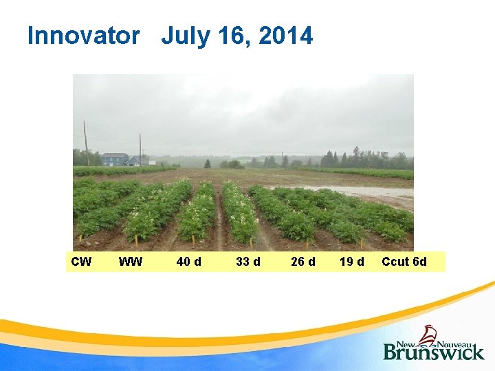 Innovator July 16, 2014 CW WW 40 d 33 d 26 d 19 d