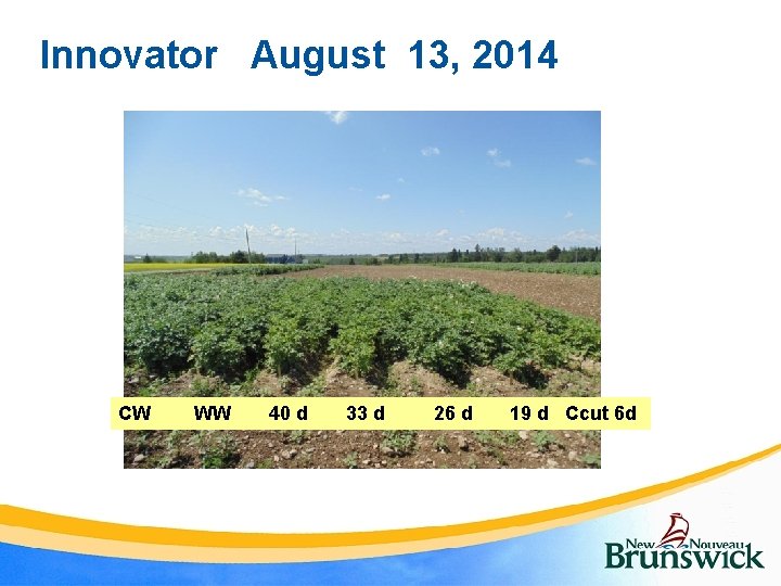 Innovator August 13, 2014 CW WW 40 d 33 d 26 d 19 d