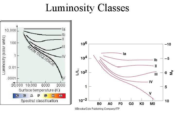 Luminosity Classes 