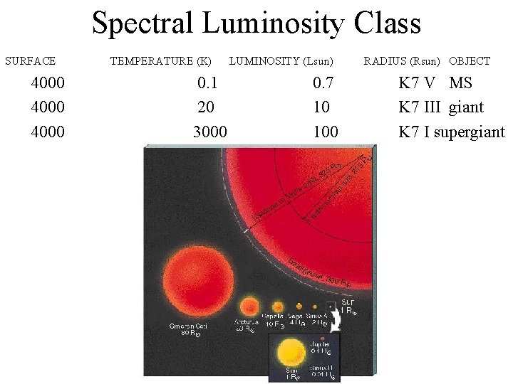 Spectral Luminosity Class SURFACE 4000 TEMPERATURE (K) 0. 1 20 3000 LUMINOSITY (Lsun) 0.