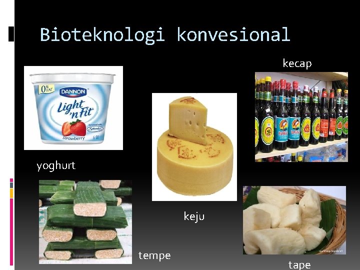 Bioteknologi konvesional kecap yoghurt keju tempe tape 