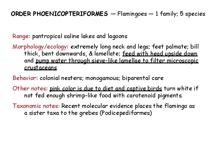 ORDER PHOENICOPTERIFORMES — Flamingoes — 1 family; 5 species Range: pantropical saline lakes and