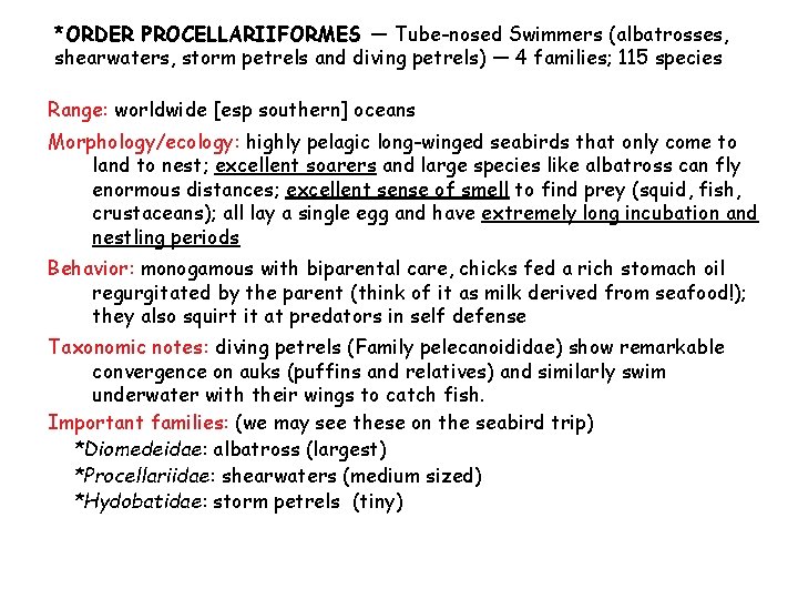 *ORDER PROCELLARIIFORMES — Tube-nosed Swimmers (albatrosses, shearwaters, storm petrels and diving petrels) — 4