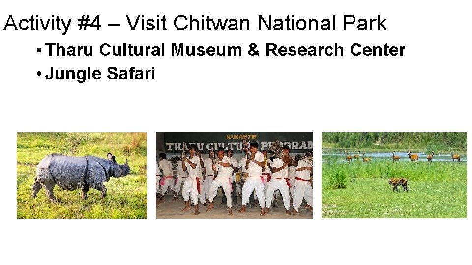 Activity #4 – Visit Chitwan National Park • Tharu Cultural Museum & Research Center