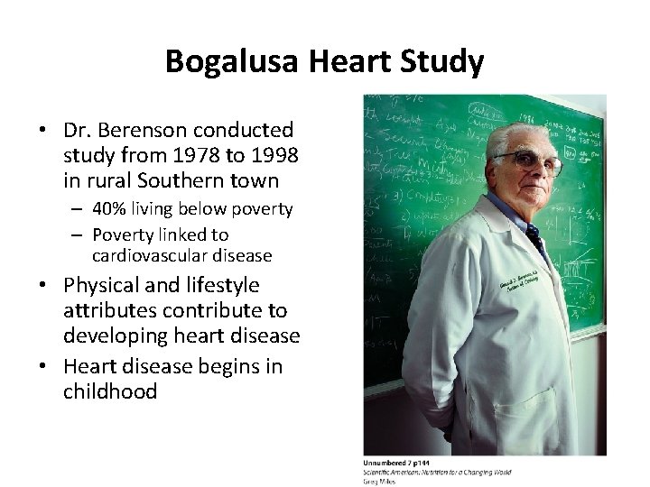 Bogalusa Heart Study • Dr. Berenson conducted study from 1978 to 1998 in rural