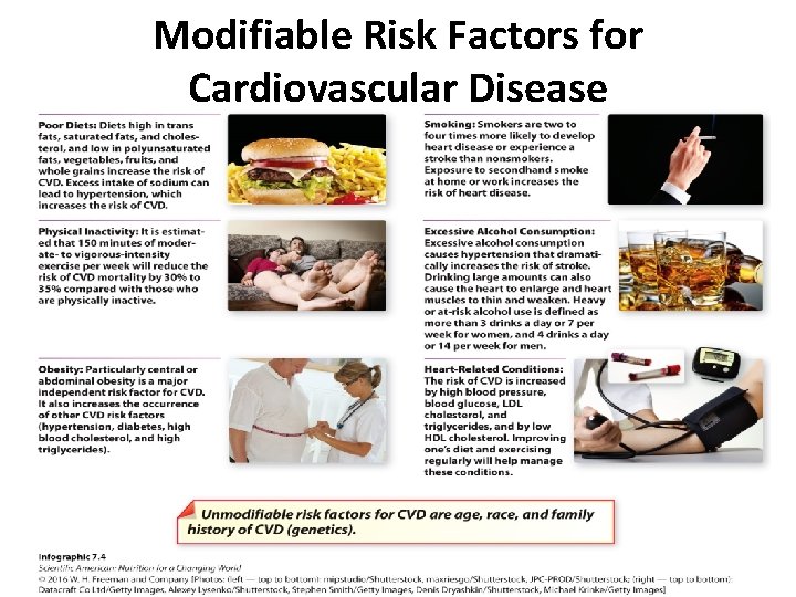 Modifiable Risk Factors for Cardiovascular Disease 