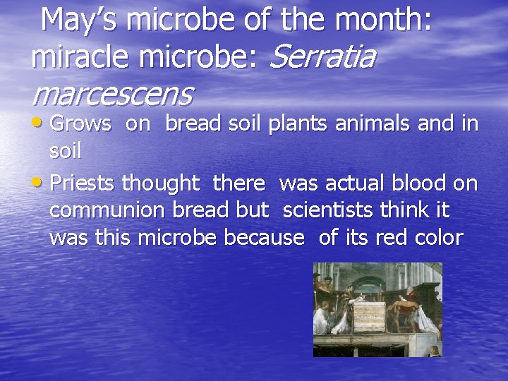 May’s microbe of the month: miracle microbe: Serratia marcescens • Grows on bread soil