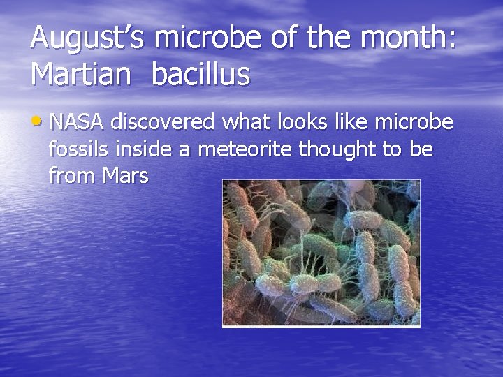 August’s microbe of the month: Martian bacillus • NASA discovered what looks like microbe