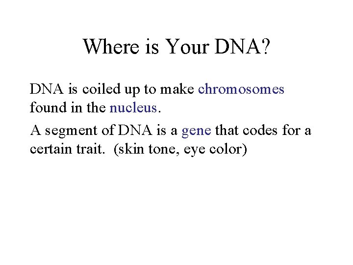 Where is Your DNA? DNA is coiled up to make chromosomes found in the