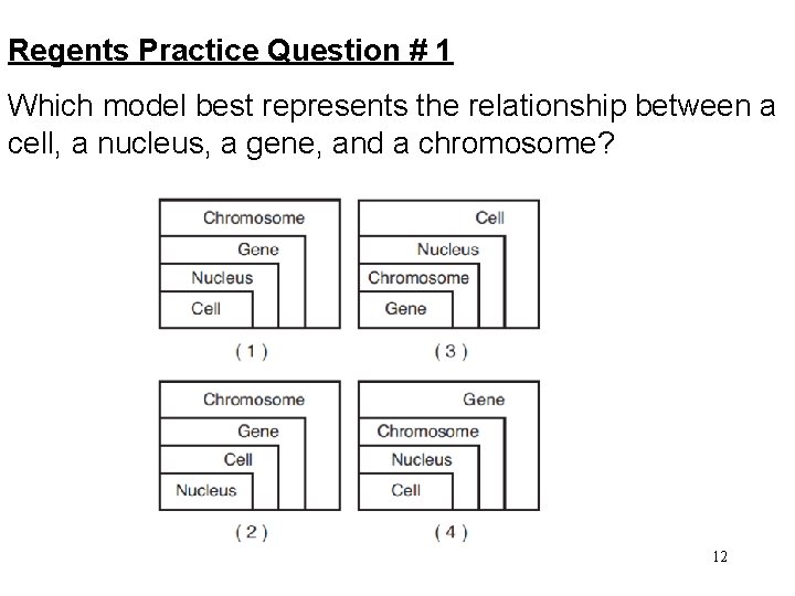 Regents Practice Question # 1 Which model best represents the relationship between a cell,