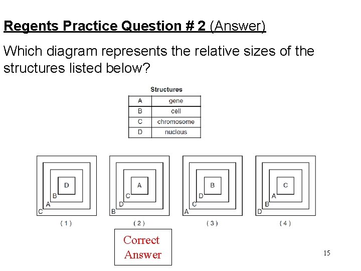 Regents Practice Question # 2 (Answer) Which diagram represents the relative sizes of the