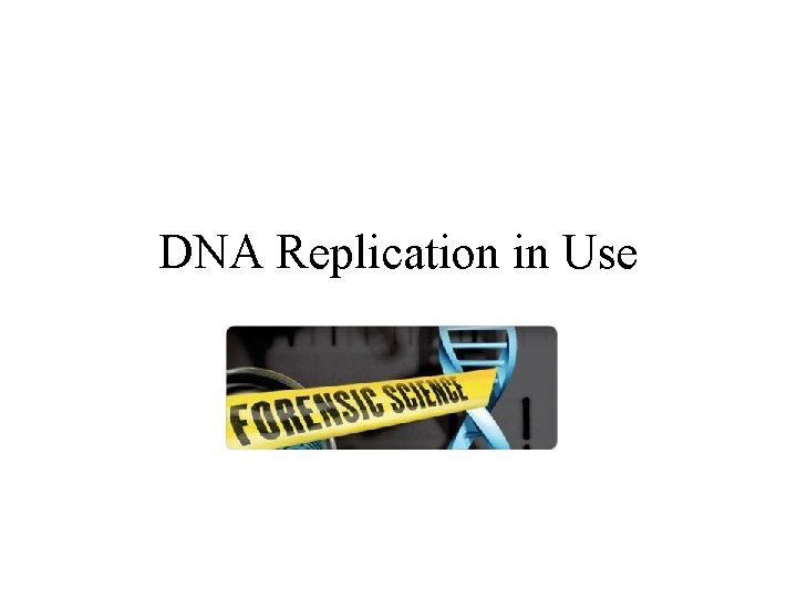 DNA Replication in Use 
