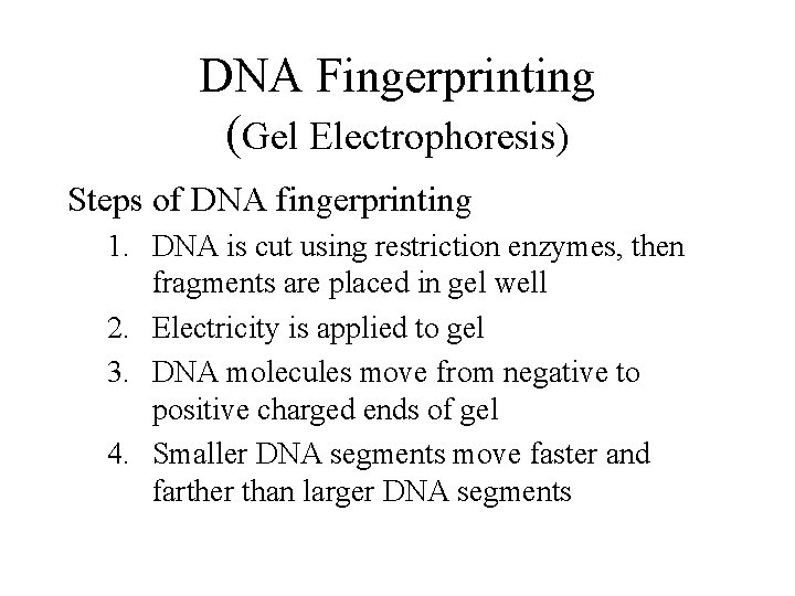 DNA Fingerprinting (Gel Electrophoresis) Steps of DNA fingerprinting 1. DNA is cut using restriction