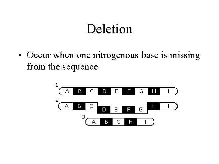 Deletion • Occur when one nitrogenous base is missing from the sequence 