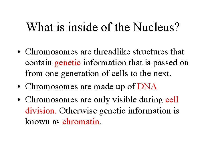 What is inside of the Nucleus? • Chromosomes are threadlike structures that contain genetic