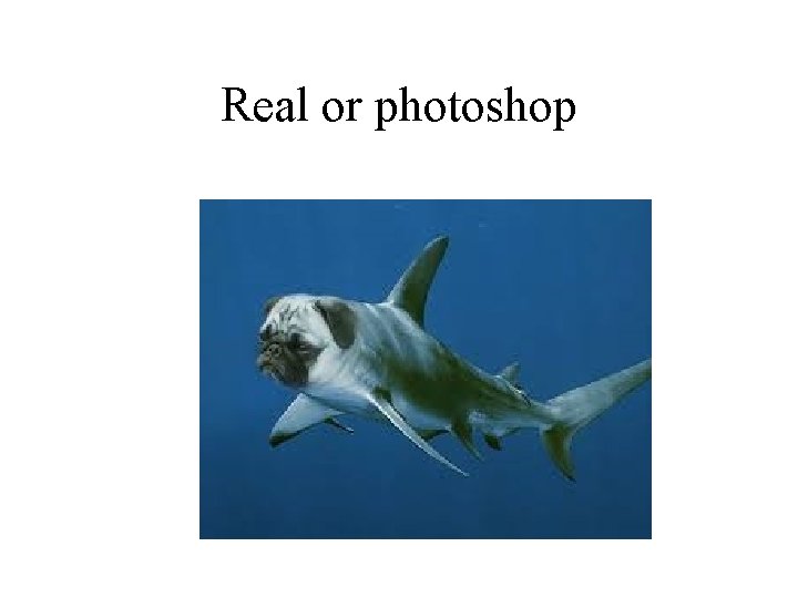 Real or photoshop 