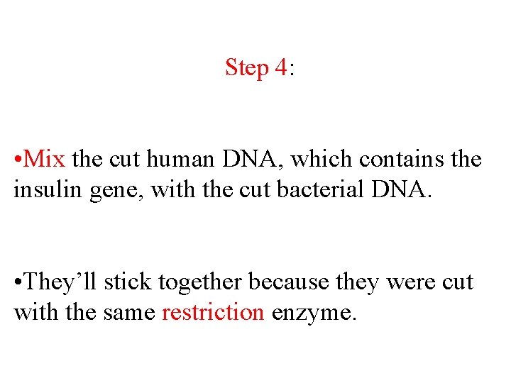 Step 4: • Mix the cut human DNA, which contains the insulin gene, with