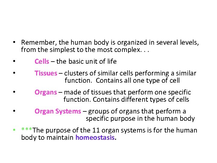  • Remember, the human body is organized in several levels, from the simplest