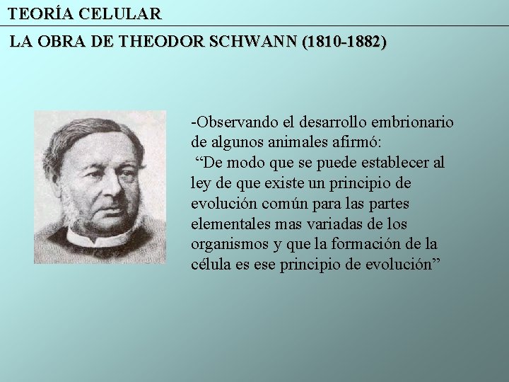 TEORÍA CELULAR LA OBRA DE THEODOR SCHWANN (1810 -1882) -Observando el desarrollo embrionario de