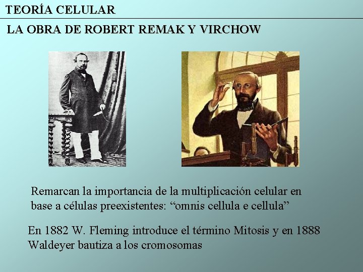 TEORÍA CELULAR LA OBRA DE ROBERT REMAK Y VIRCHOW Remarcan la importancia de la