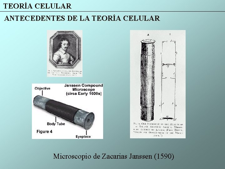 TEORÍA CELULAR ANTECEDENTES DE LA TEORÍA CELULAR Microscopio de Zacarias Janssen (1590) 