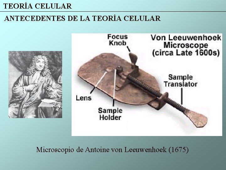 TEORÍA CELULAR ANTECEDENTES DE LA TEORÍA CELULAR Microscopio de Antoine von Leeuwenhoek (1675) 