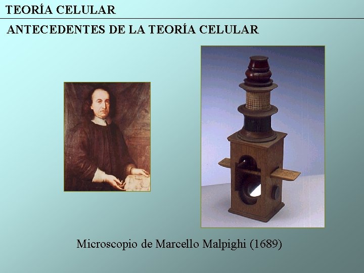 TEORÍA CELULAR ANTECEDENTES DE LA TEORÍA CELULAR Microscopio de Marcello Malpighi (1689) 