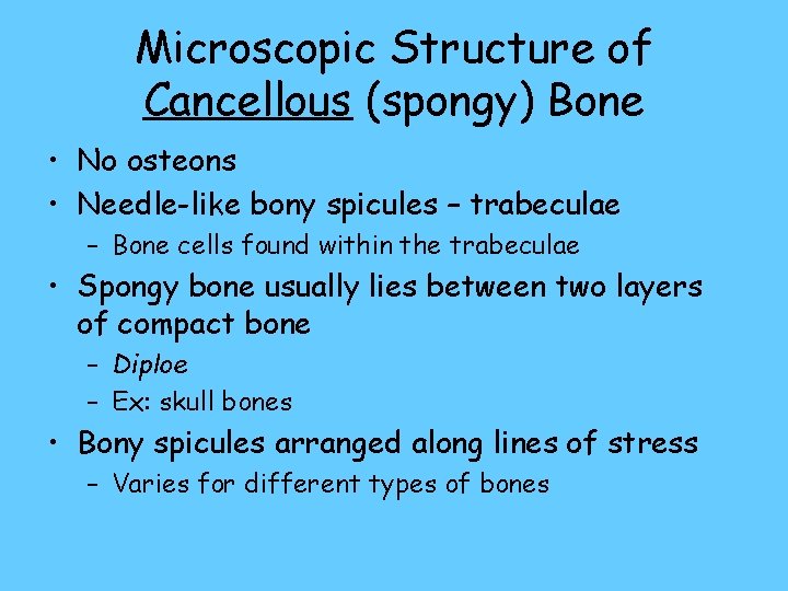 Microscopic Structure of Cancellous (spongy) Bone • No osteons • Needle-like bony spicules –