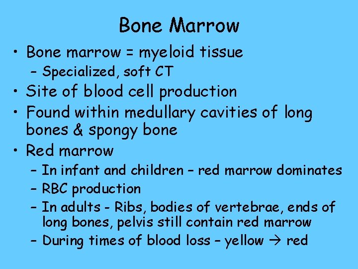 Bone Marrow • Bone marrow = myeloid tissue – Specialized, soft CT • Site