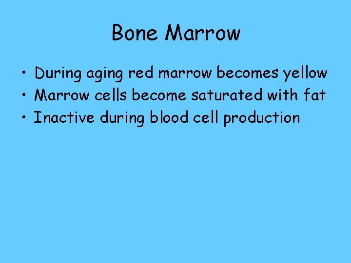 Bone Marrow • During aging red marrow becomes yellow • Marrow cells become saturated