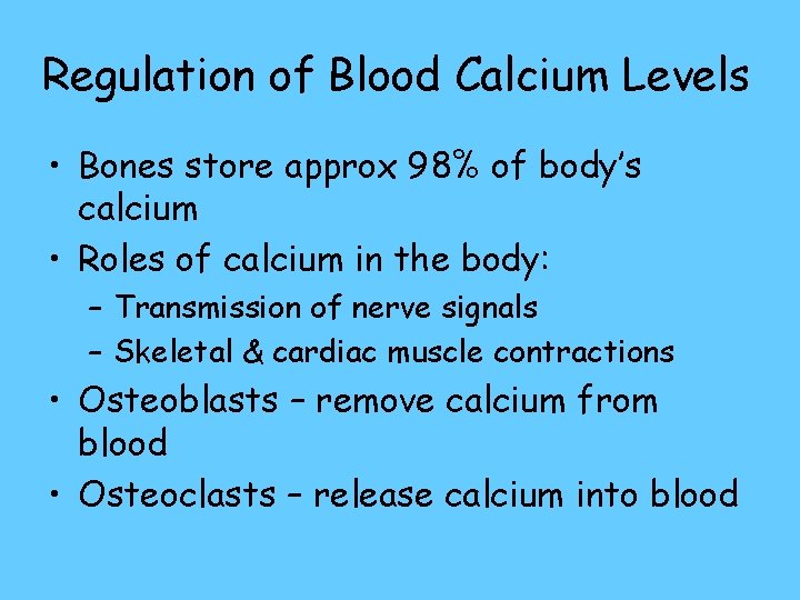 Regulation of Blood Calcium Levels • Bones store approx 98% of body’s calcium •