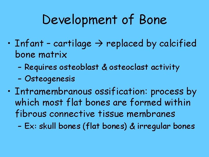 Development of Bone • Infant – cartilage replaced by calcified bone matrix – Requires