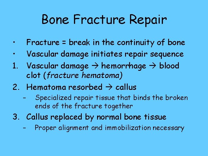 Bone Fracture Repair • Fracture = break in the continuity of bone • Vascular