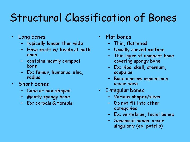Structural Classification of Bones • Long bones – typically longer than wide – Have