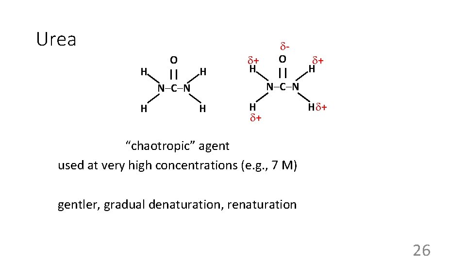 Urea O H H || N–C–N H H O + + H H ||