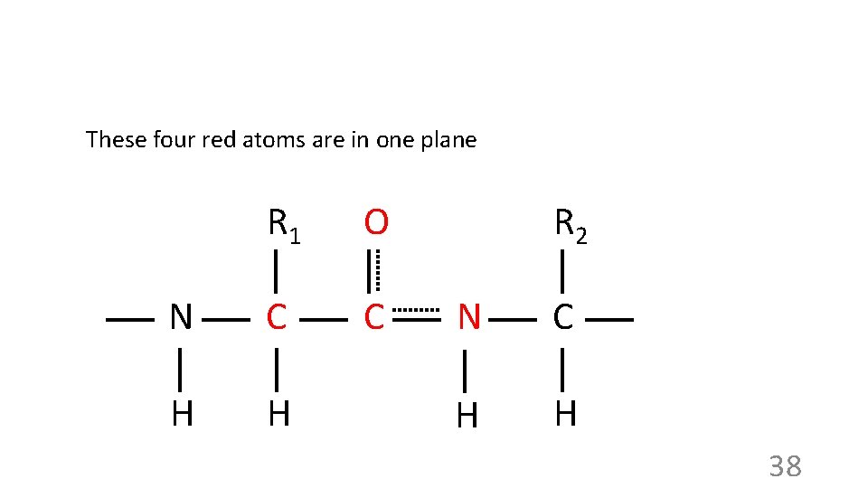 These four red atoms are in one plane R 1 O N C C