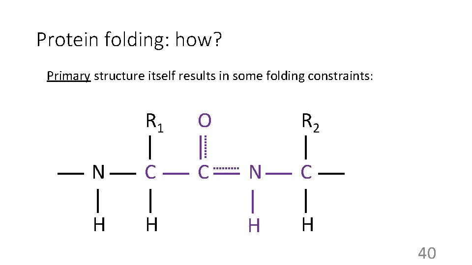 Protein folding: how? Primary structure itself results in some folding constraints: R 1 O