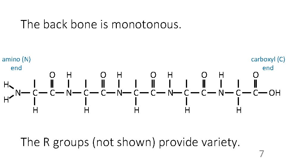 The back bone is monotonous. amino (N) end H H N C H O