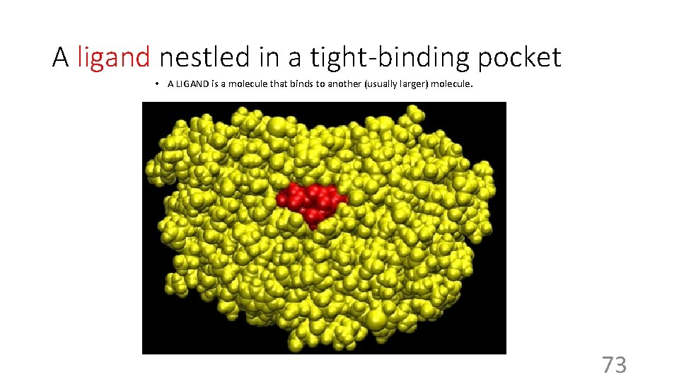 A ligand nestled in a tight-binding pocket • A LIGAND is a molecule that