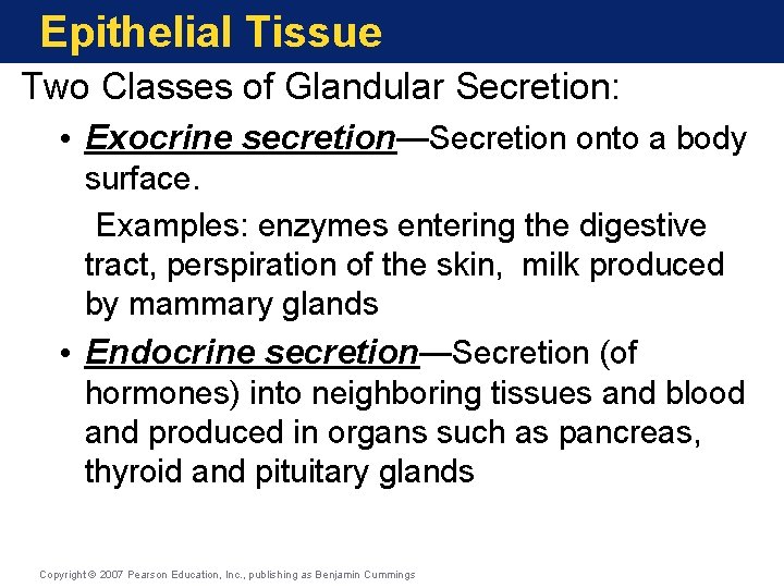 Epithelial Tissue Two Classes of Glandular Secretion: • Exocrine secretion—Secretion onto a body surface.