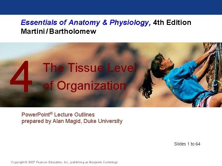 Essentials of Anatomy & Physiology, 4 th Edition Martini / Bartholomew 4 The Tissue