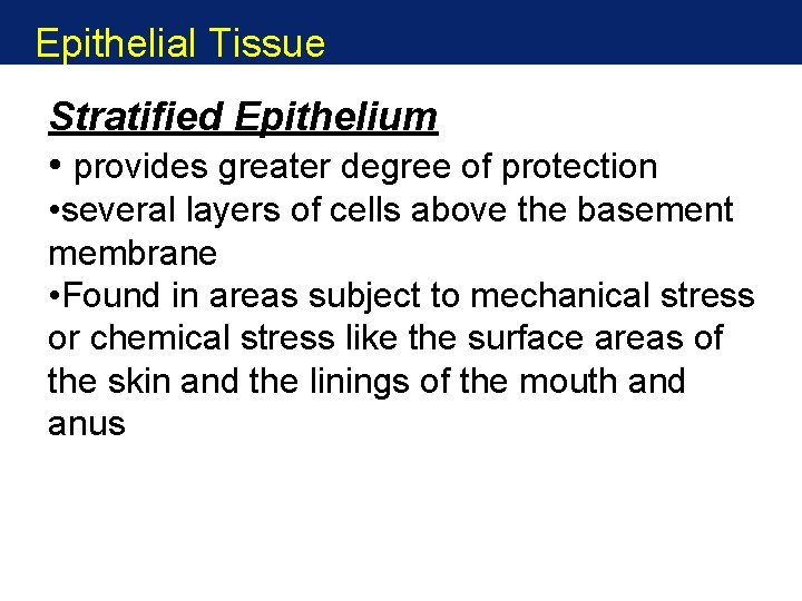 Epithelial Tissue Stratified Epithelium • provides greater degree of protection • several layers of