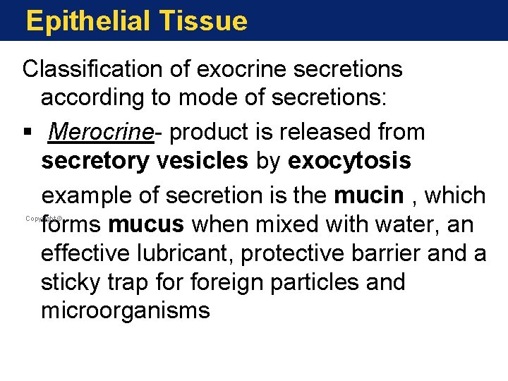 Epithelial Tissue Classification of exocrine secretions according to mode of secretions: § Merocrine- product